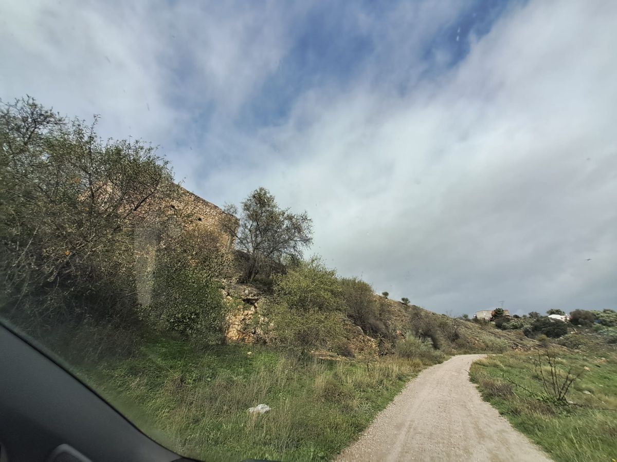 Außenansicht von Country house zum verkauf in El Molar (Madrid)