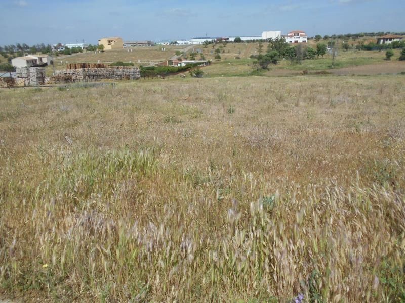 Residential for sale in Navahermosa