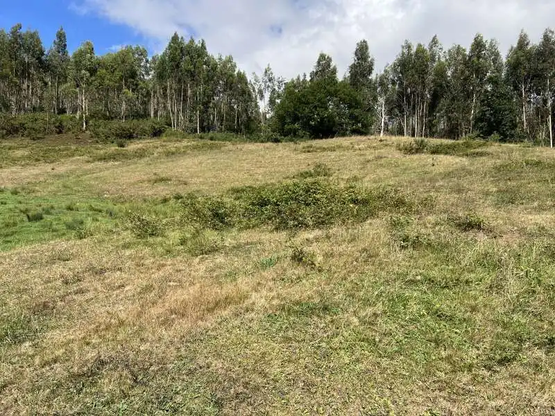 Finca rústica en venda en Llanera