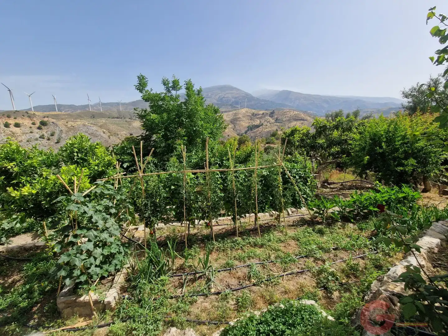 Garten von Country house zum Verkauf in El Pinar mit Terrasse und Schwimmbad