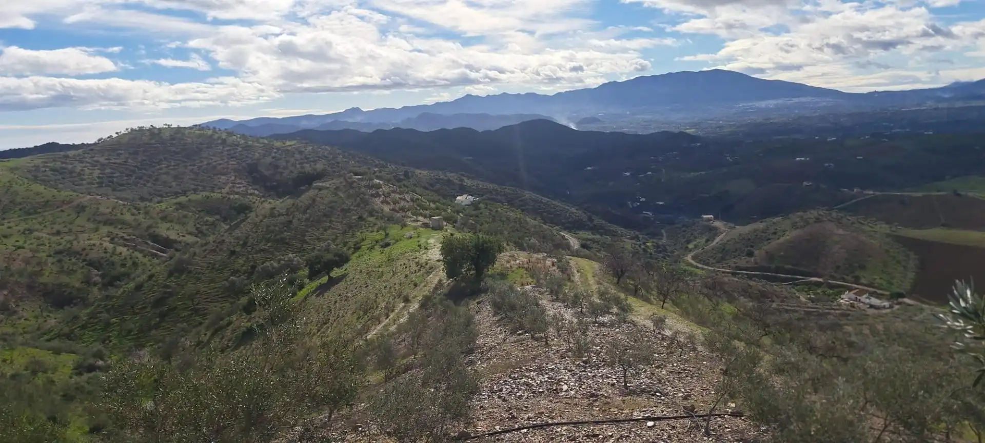 Residencial en venta en Cártama