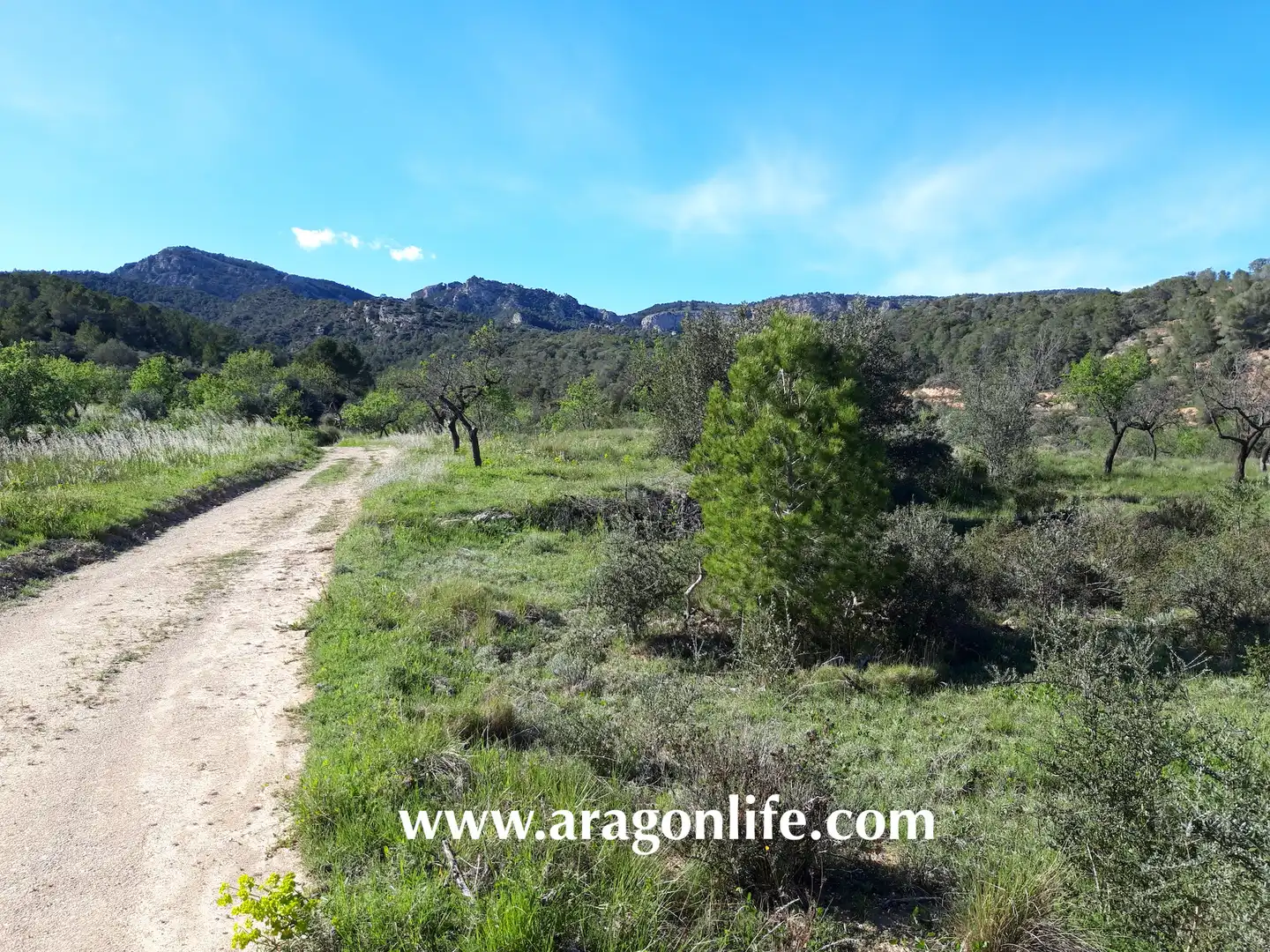 Country homes for sale in El Pinell de Brai