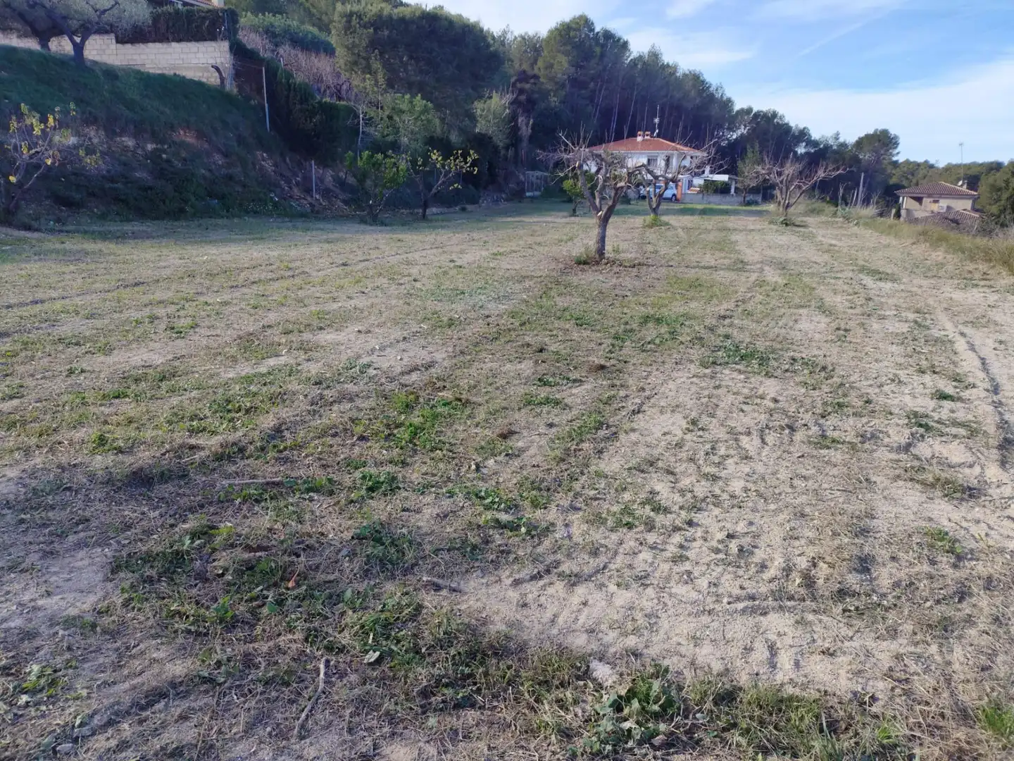 Terreno residenziale in vendita a Agullent, imagen 6
