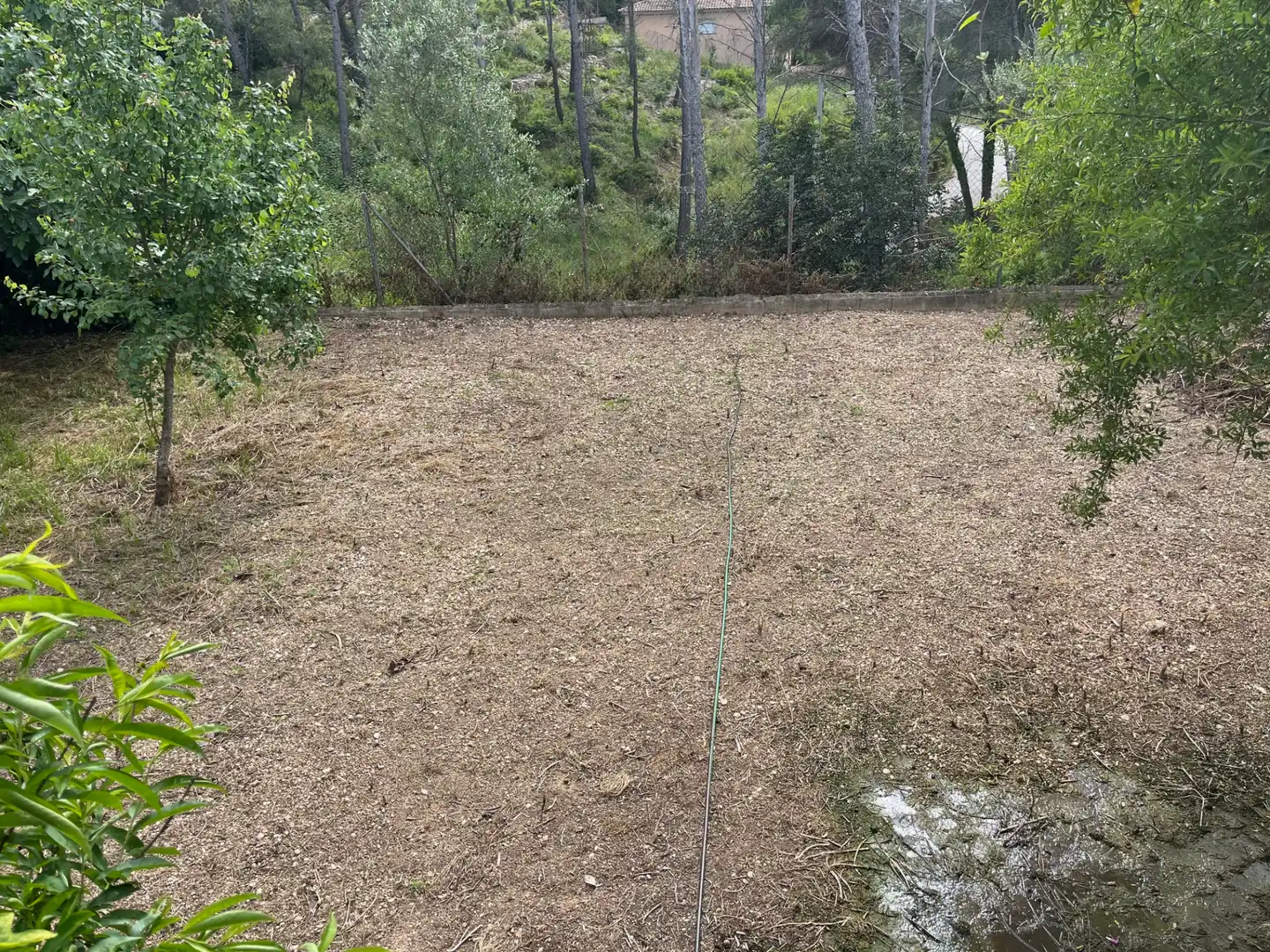 Casa o xalet en venda a Carrer de la Xixella, 1, Olivella