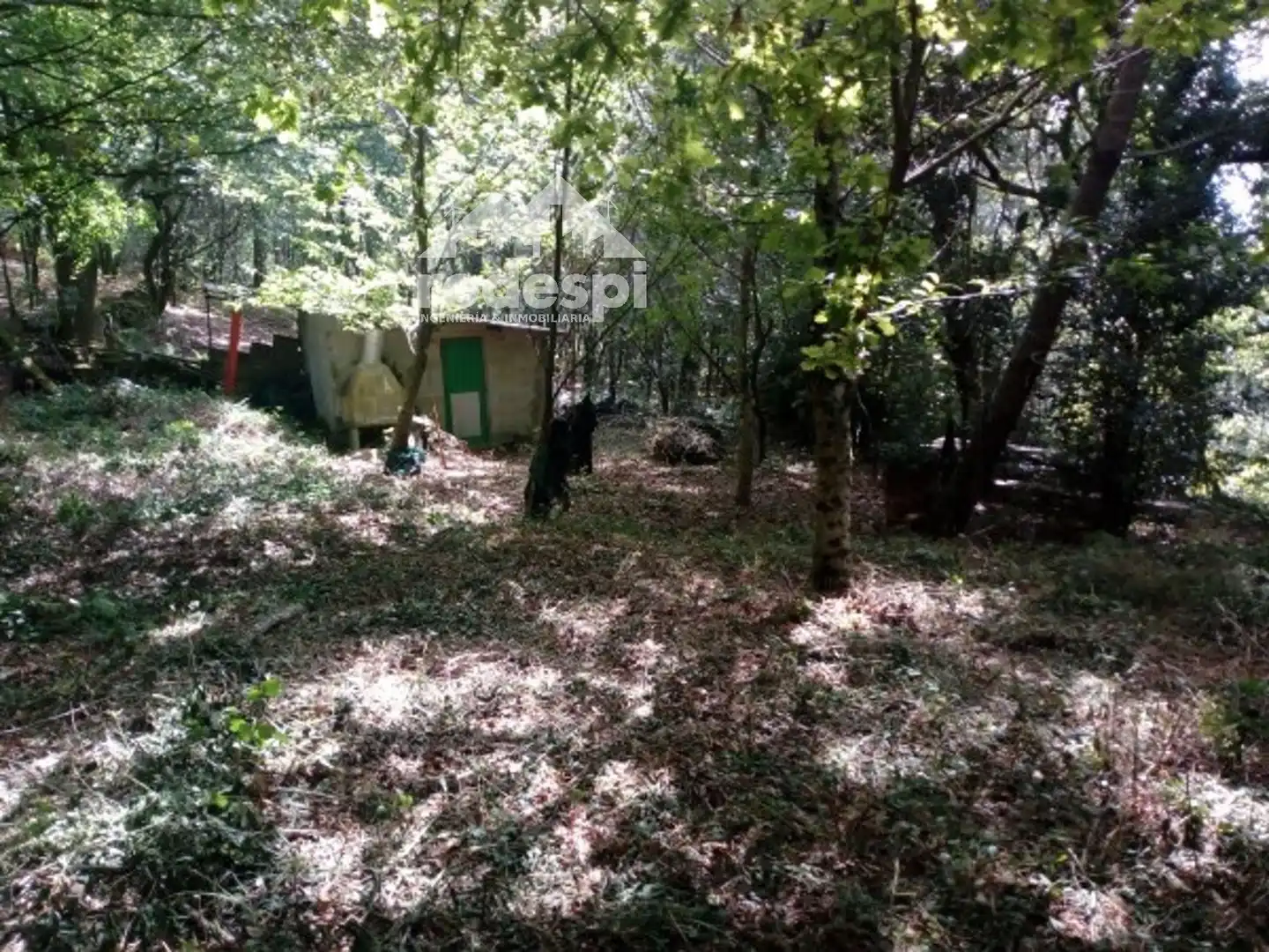 Terreny rústic en venda a A Cañiza, imagen 6