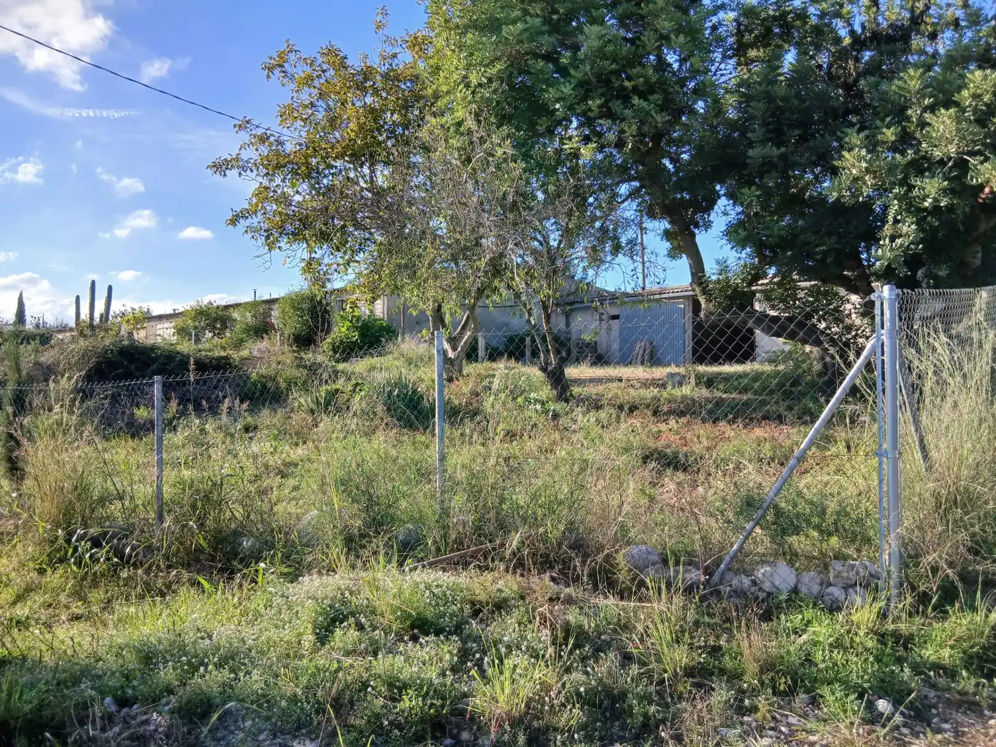 Terreny rústic en venda a Ulldecona, imagen 34
