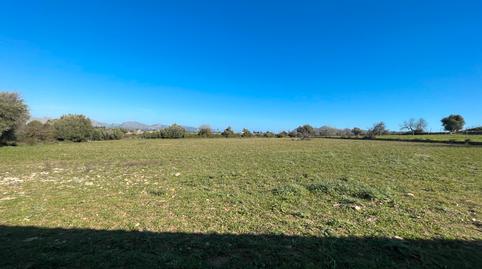 Photo 3 of Single-family semi-detached to rent in Pollença Poble, Illes Balears