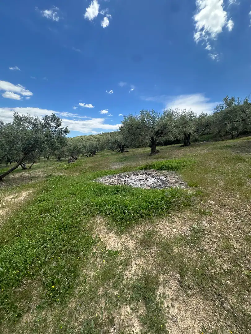 Terreni e lotti in vendita a Periana, imagen 4