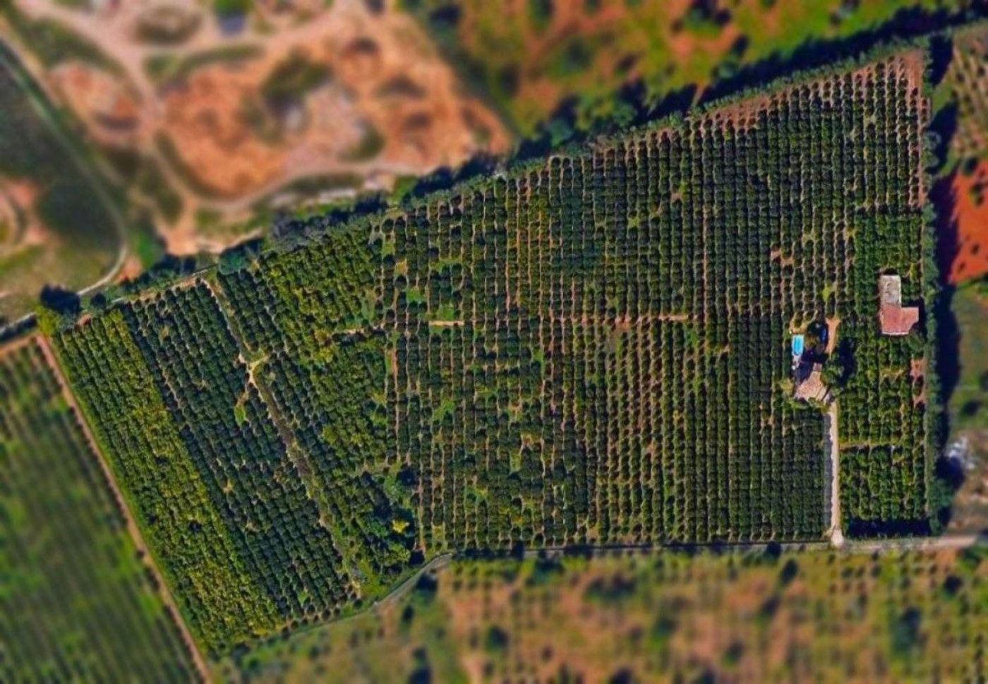 Finca rústica en venda en Marratxí amb Jardí privat, Terrassa i Traster