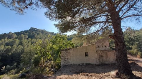 Foto 4 de Finca rústica en venda a Tivissa, Tarragona
