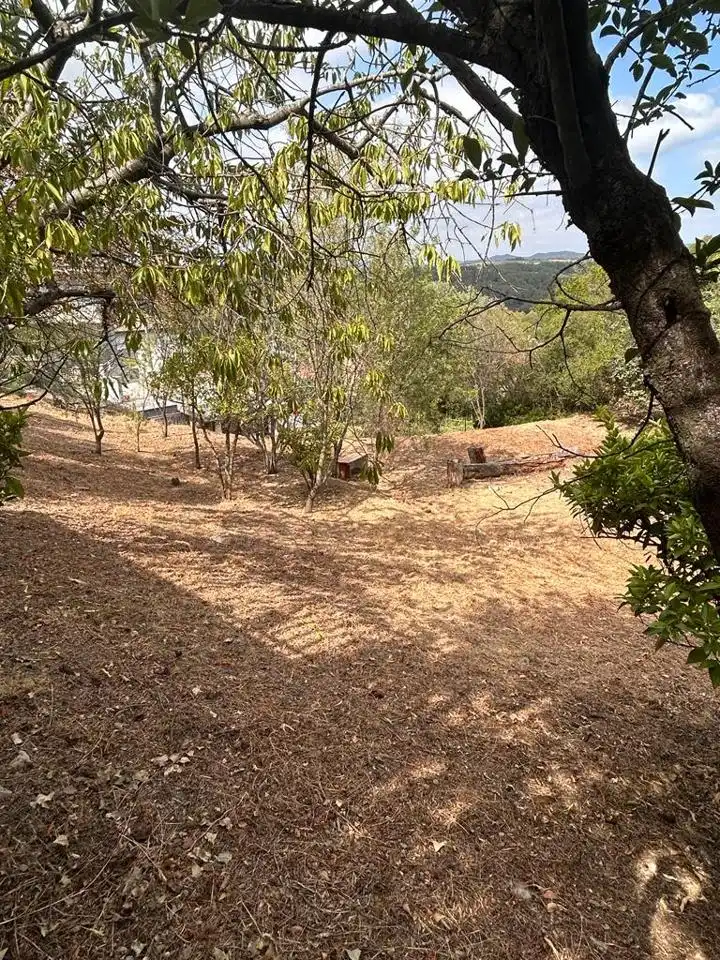 Country homes for sale in Els Hostalets de Pierola  with Private garden