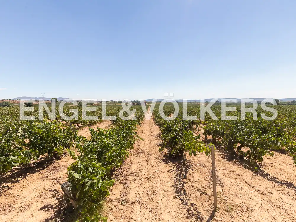 Houses for sale in Requena  with Heating, Private garden and Terrace