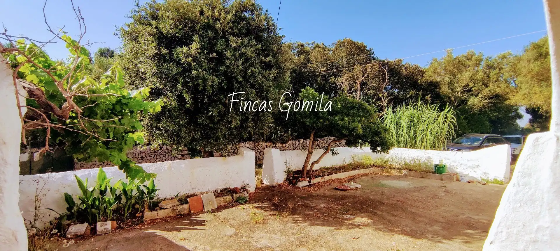 Finca rústica en venta en Alaior