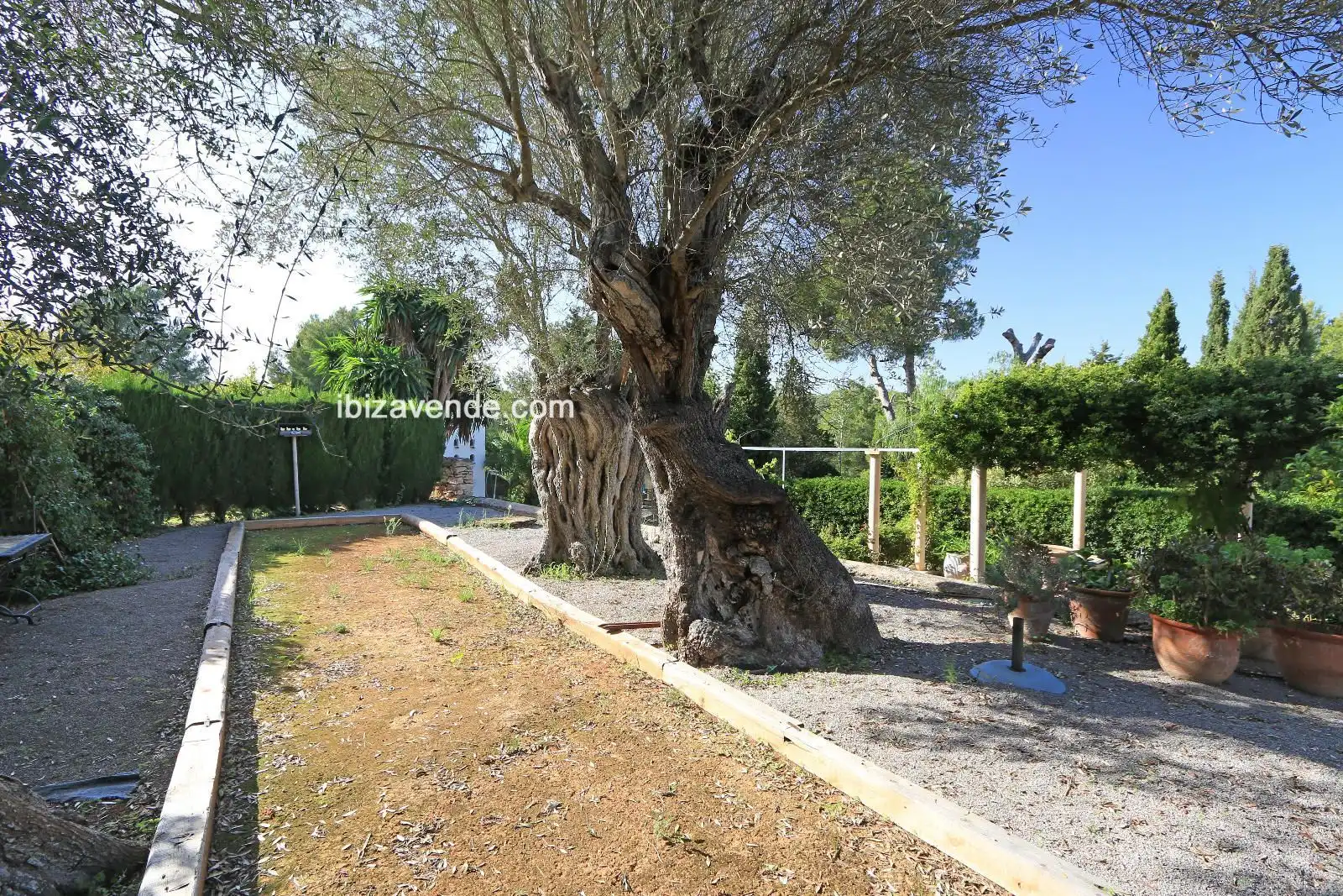 Casa o xalet en venda a Cala Llonga, Santa Eulària
