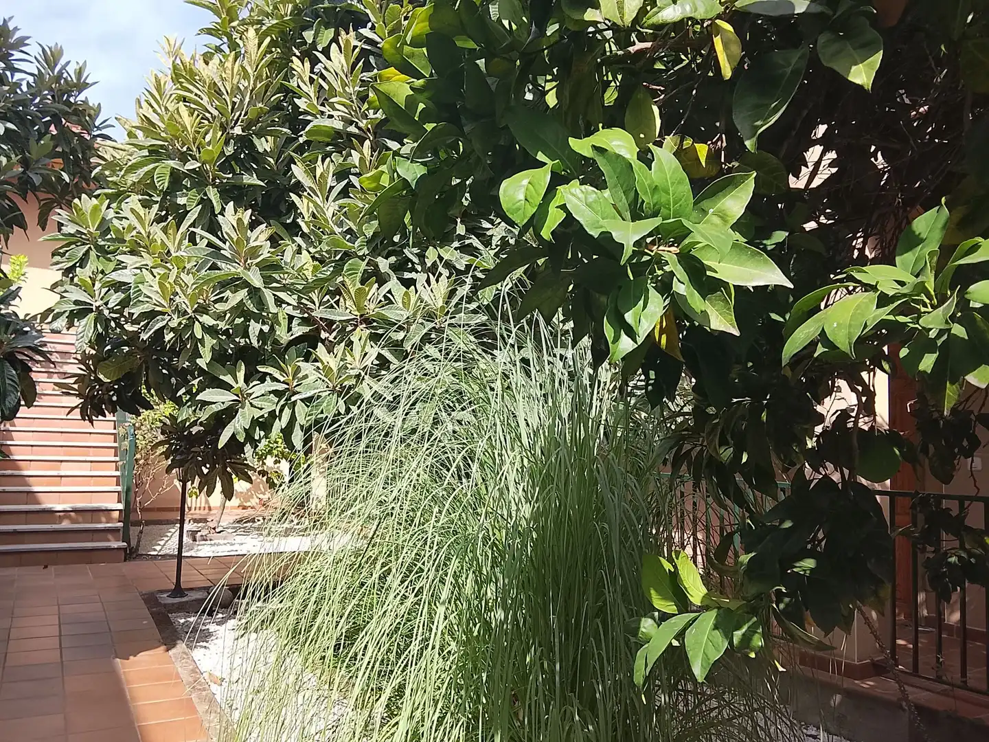 Jardín de Apartamento en venta en Madrigal de la Vera con Aire acondicionado y Amueblado