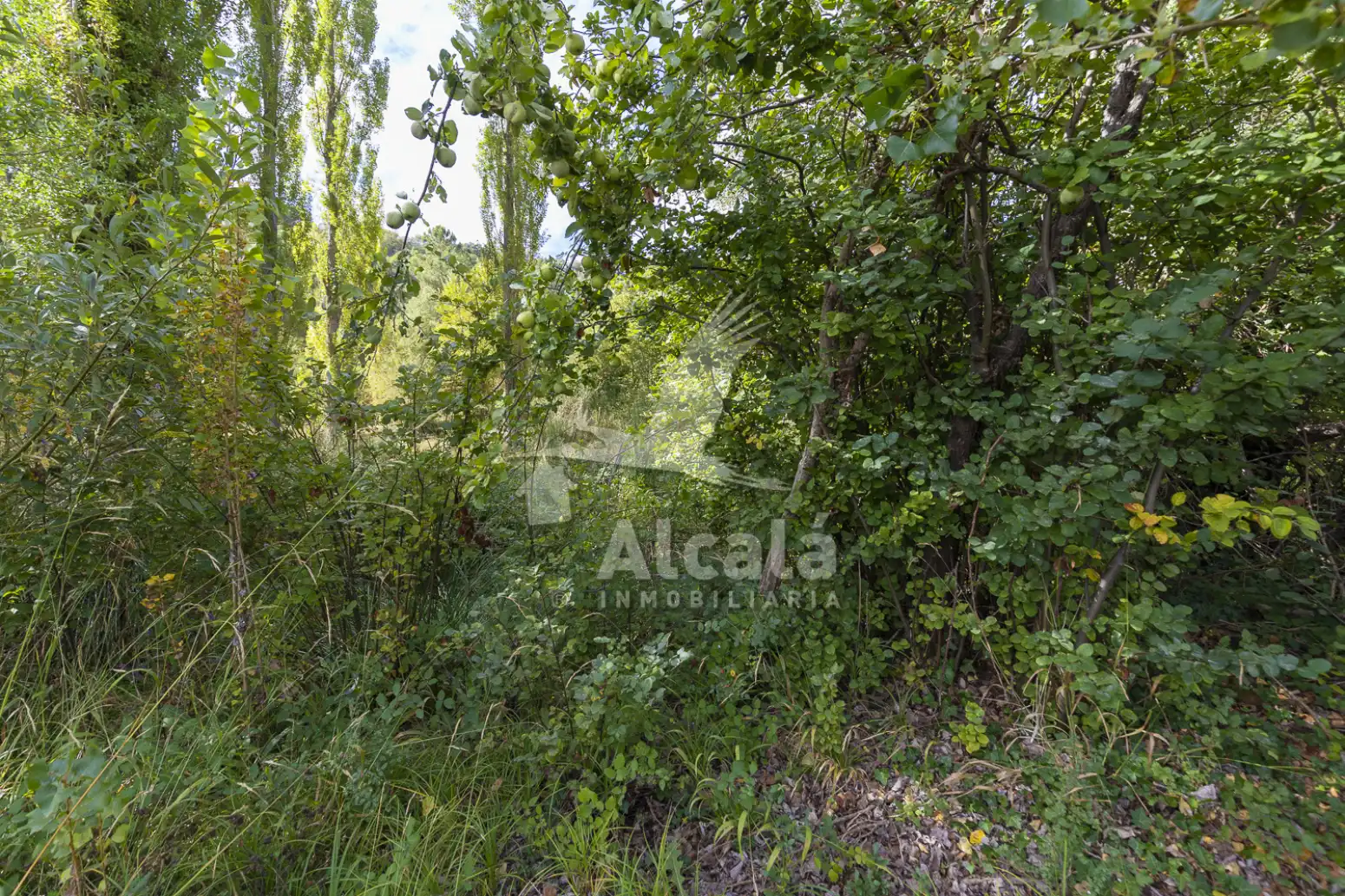 Terreno en venta en Hueva