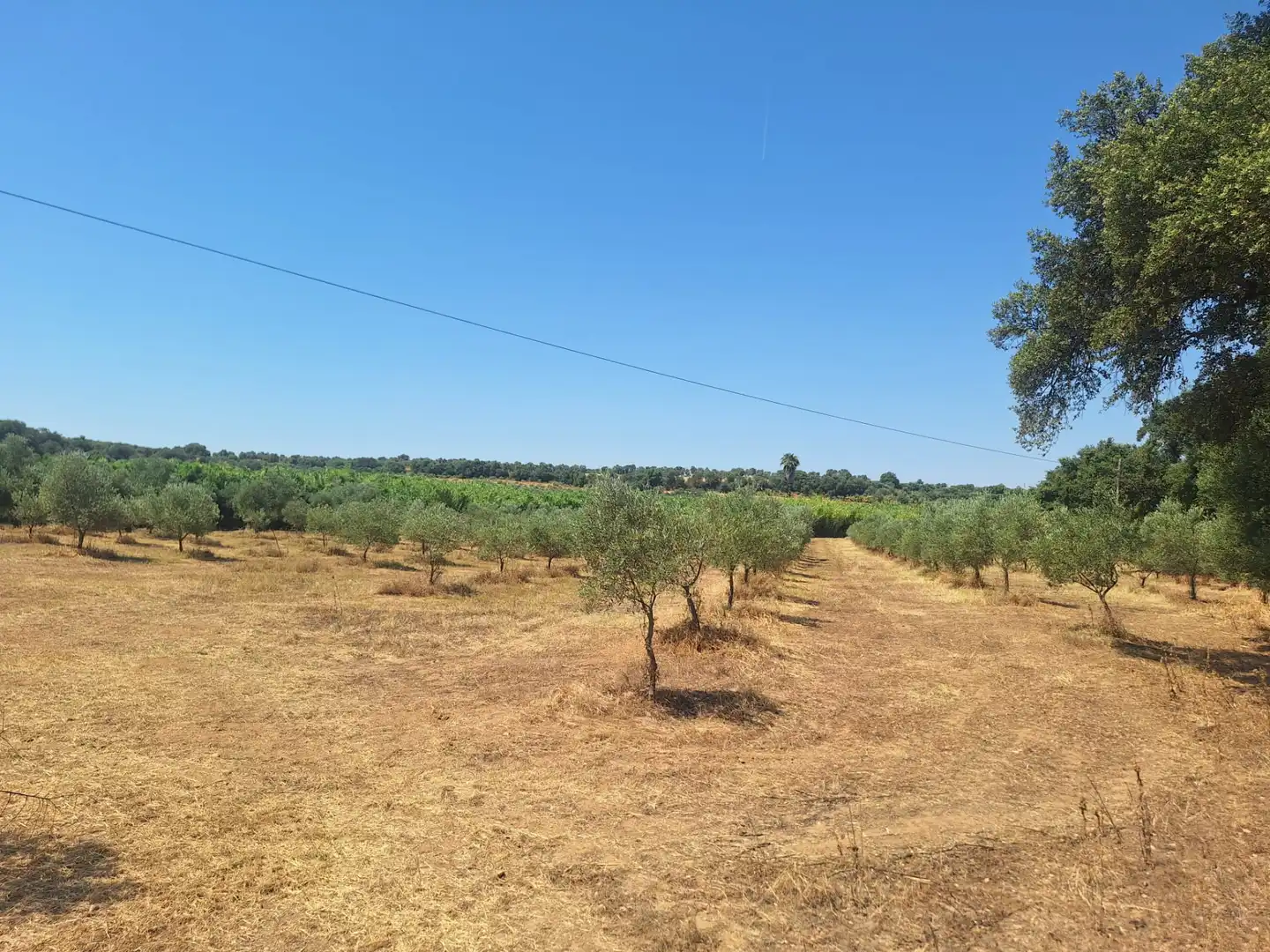 Land for sale in N/A, -1, Beas