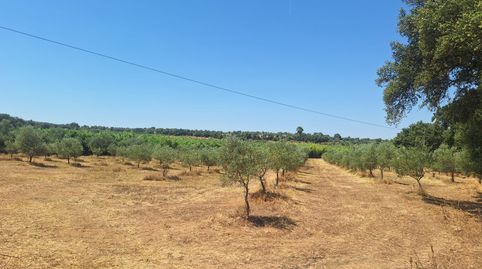Foto 2 de Terreny en venda a N/a, -1, Beas, Huelva