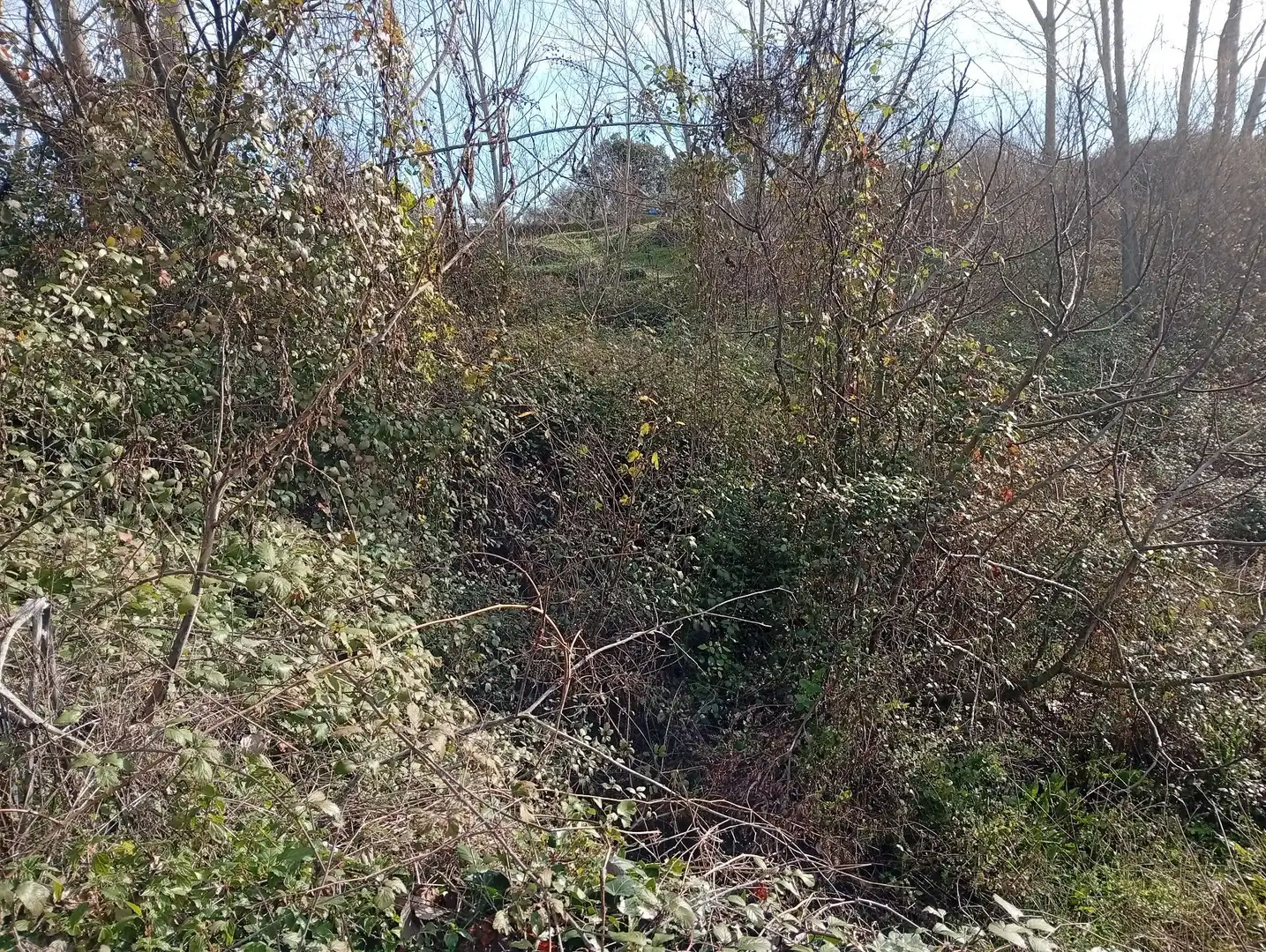 Terreni e lotti in vendita a Valverde de la Vera, imagen 10