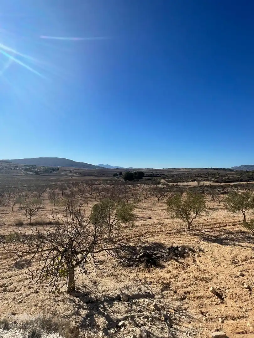 Wohnbaugrundstück zum Verkauf in El Pinós / Pinoso, imagen 16