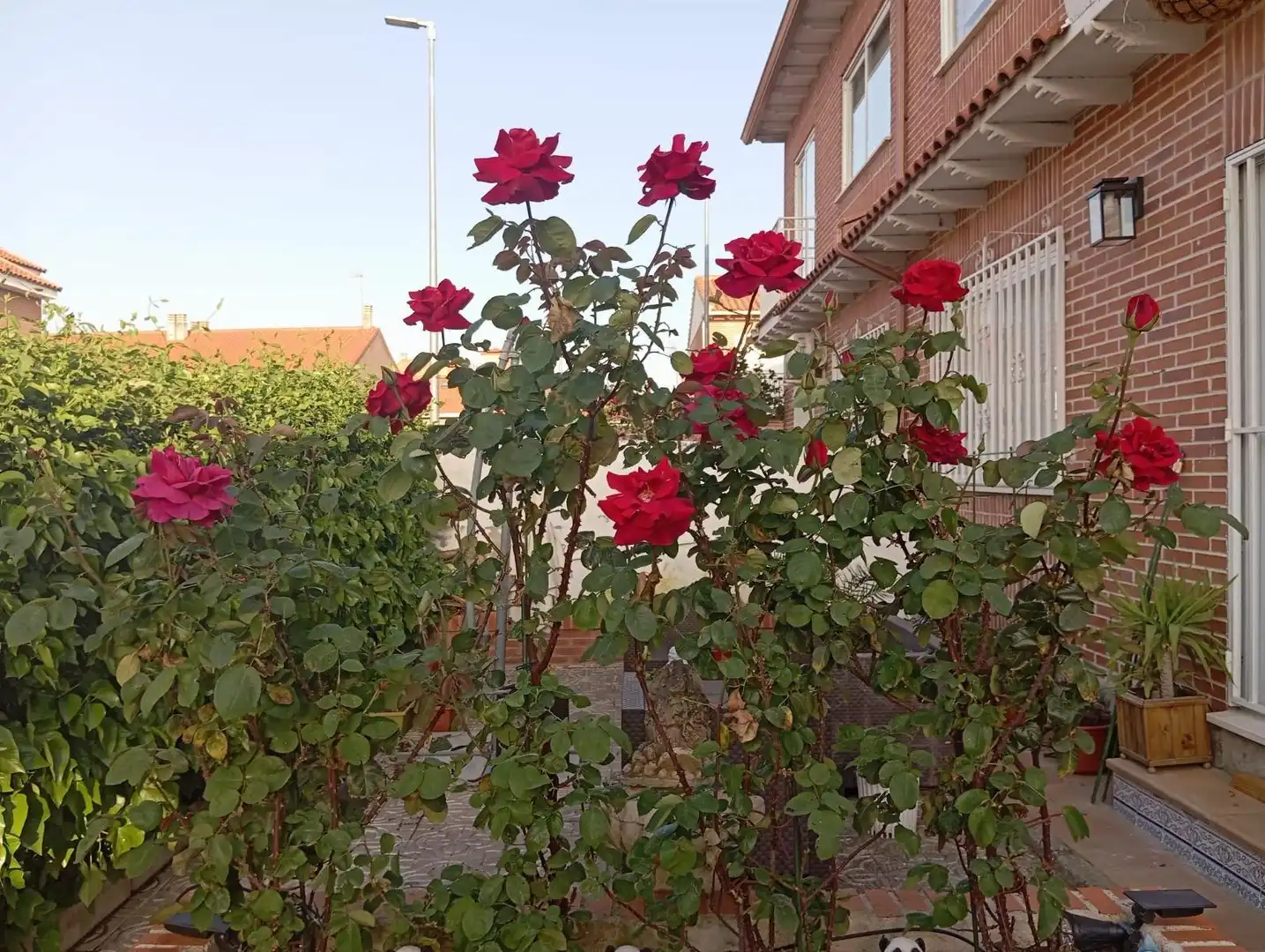 Jardí de Casa adosada en venda en Cedillo del Condado amb Calefacció, Jardí privat i Terrassa