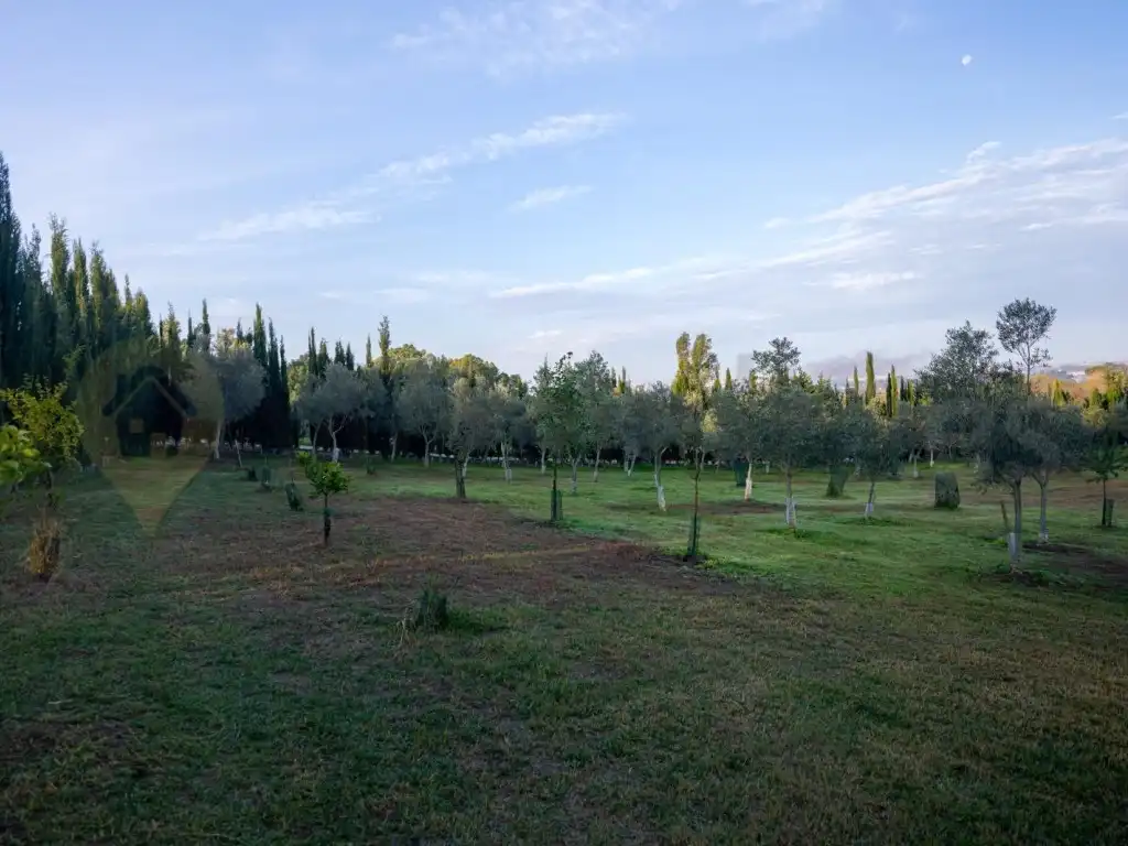 Houses for sale in Jerez de la Frontera