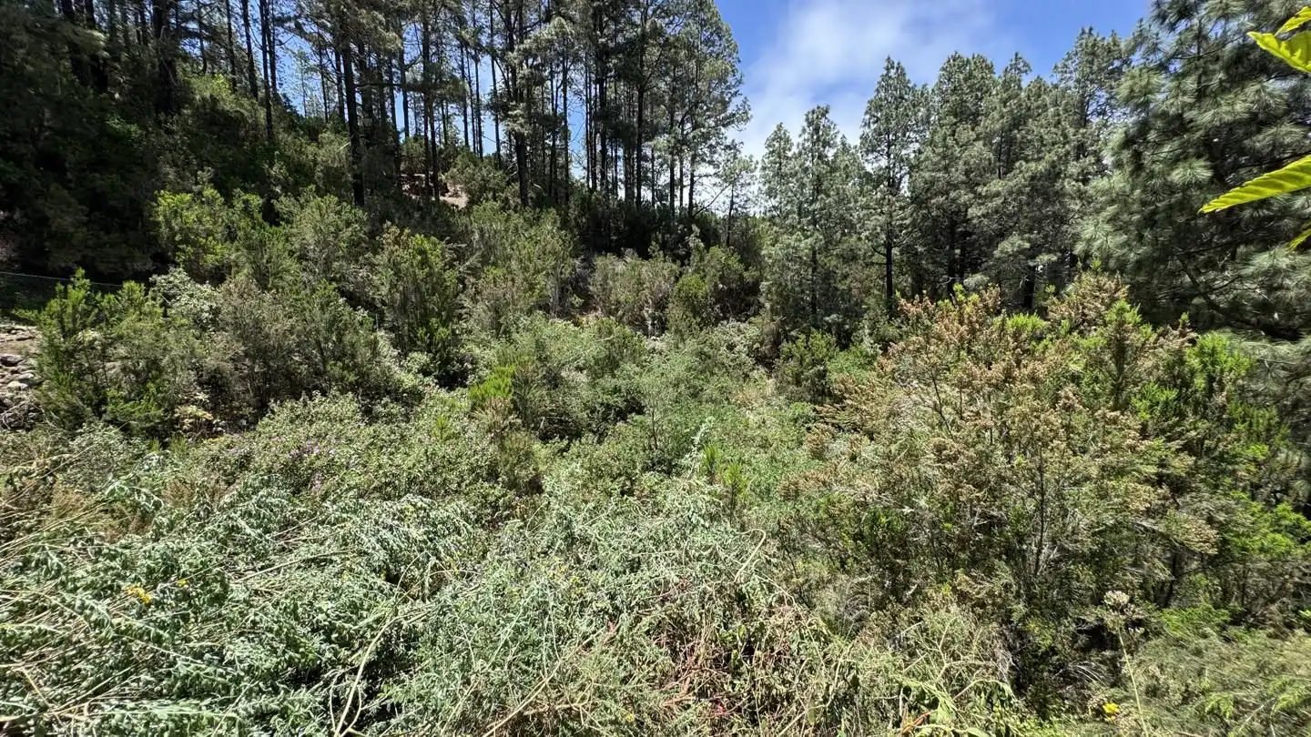 Lands and plots for sale in La Peña 1, imagen 23