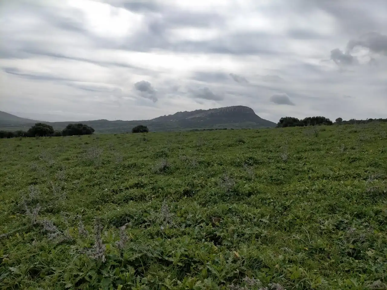 Residential for sale in Ubrique