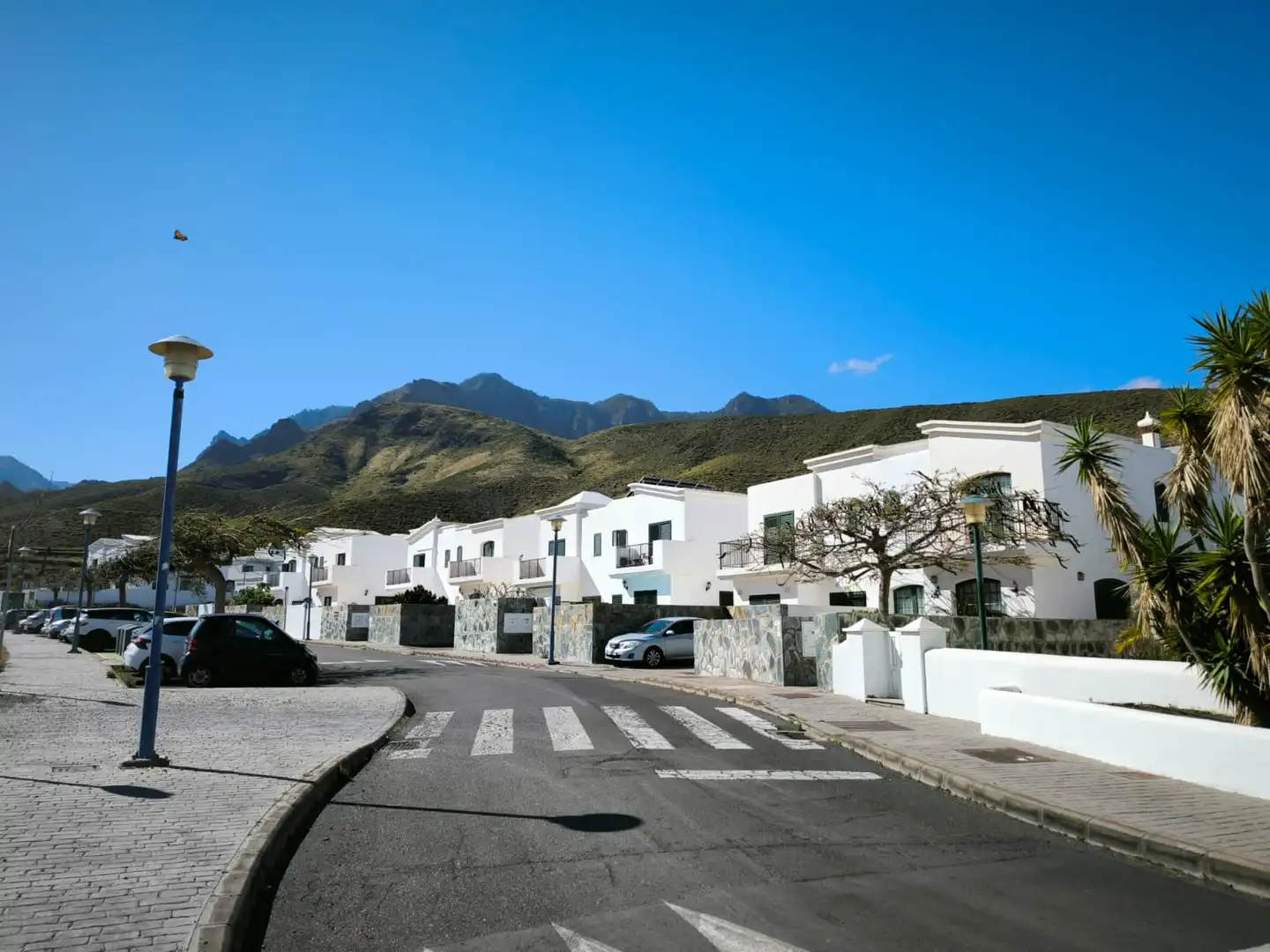 Vista exterior de Casa o xalet en venda en Agaete amb Jardí privat, Terrassa i Moblat