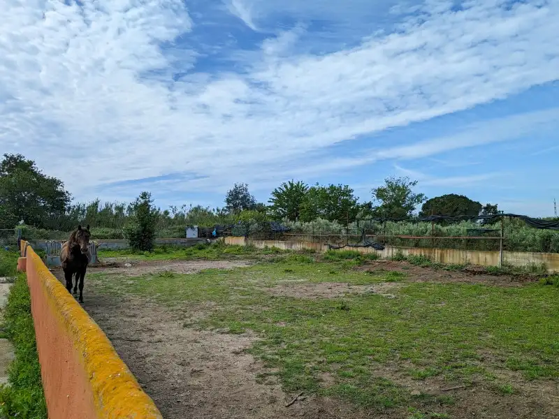Casa o xalet en venda en Palau-saverdera amb Calefacció i Traster