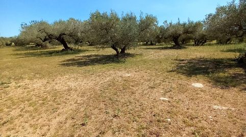 Photo 5 of Houses for sale in Roquetes, Tarragona