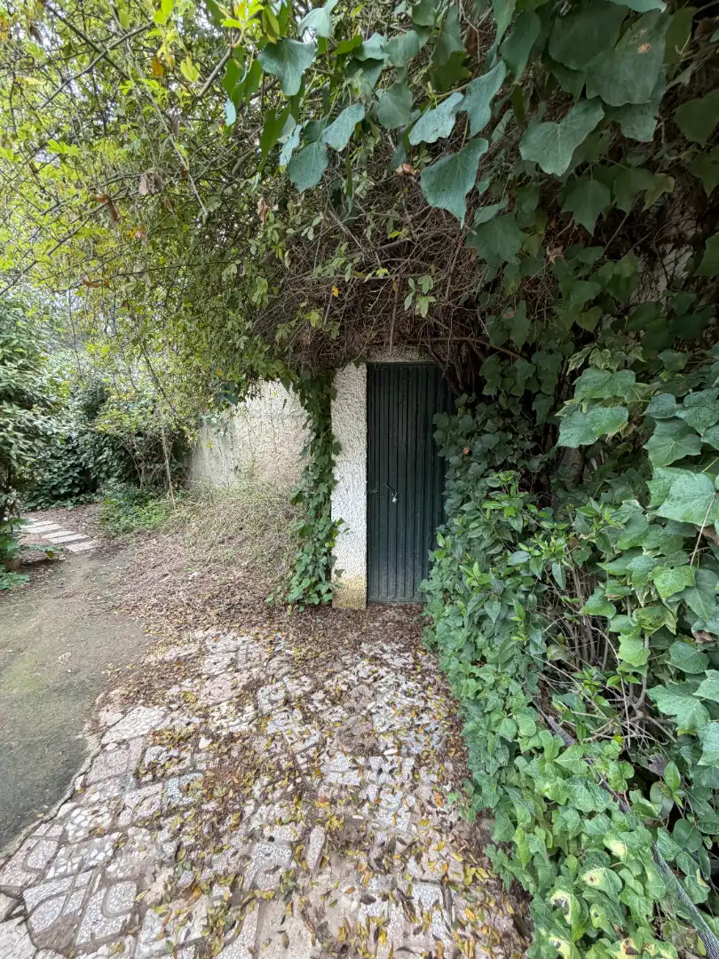 Xalet amb piscina en venda a Camino de El Vergel., imagen 12