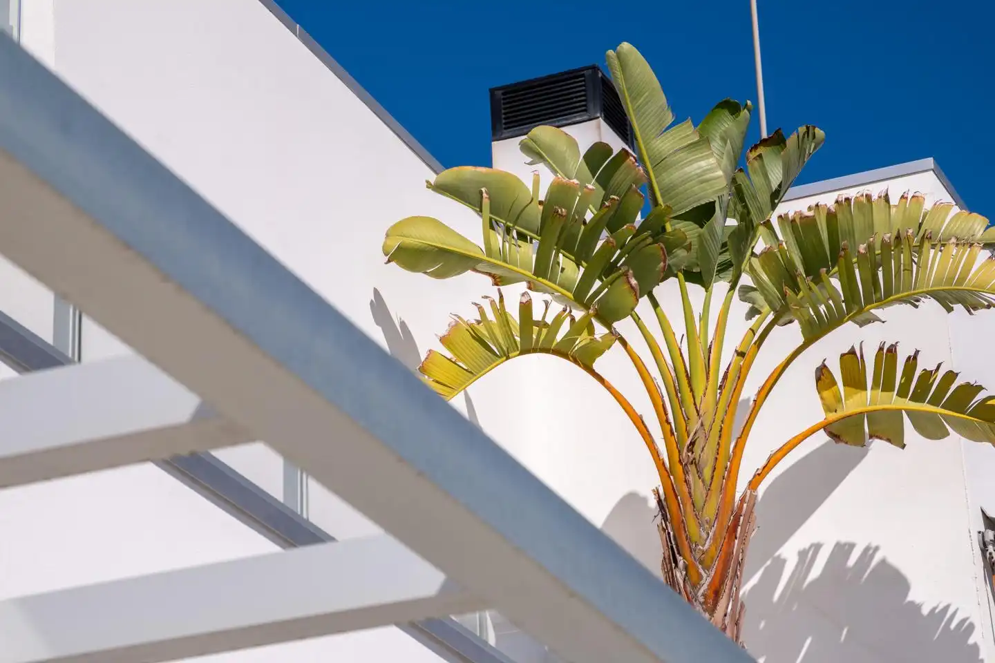 Vista exterior de Piso en venta en Las Palmas de Gran Canaria con Terraza y Amueblado