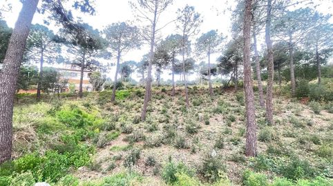 Terreno en venta en Jardins de Sant Pol, imatge 4