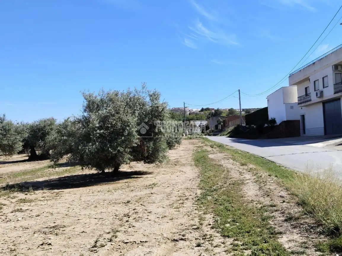 Terreni e lotti in vendita a Mengíbar, imagen 9