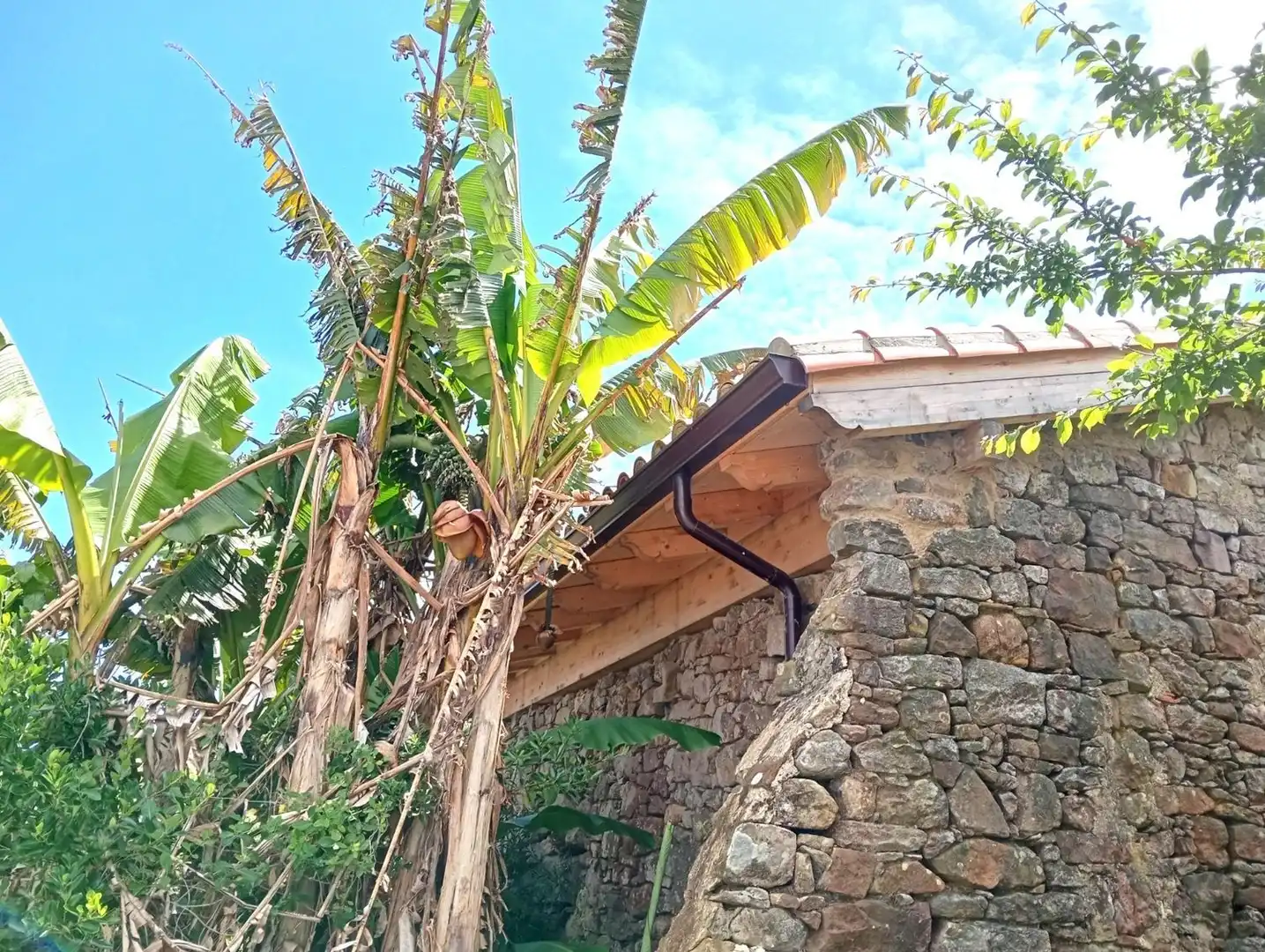 Vista exterior de Casa o xalet en venda en Villaviciosa amb Piscina