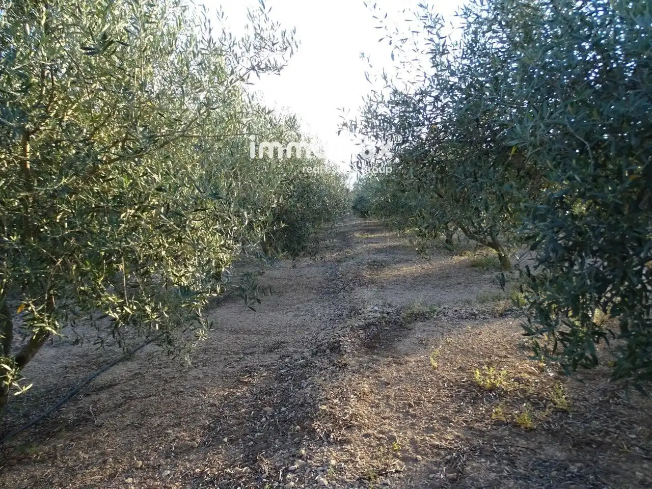 Terrenos y solares en venta en 2, imagen 11