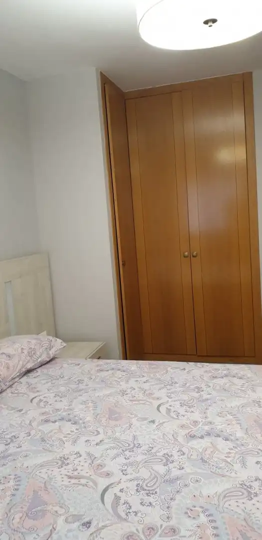Bedroom of Flat for rent in Alicante / Alacant  with Air Conditioner, Terrace and Furnished