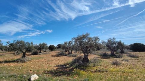 Foto 5 von Grundstücke zum Verkauf in Carretera de Valdilecha, 39, El Mirador - Grillero, Arganda del Rey