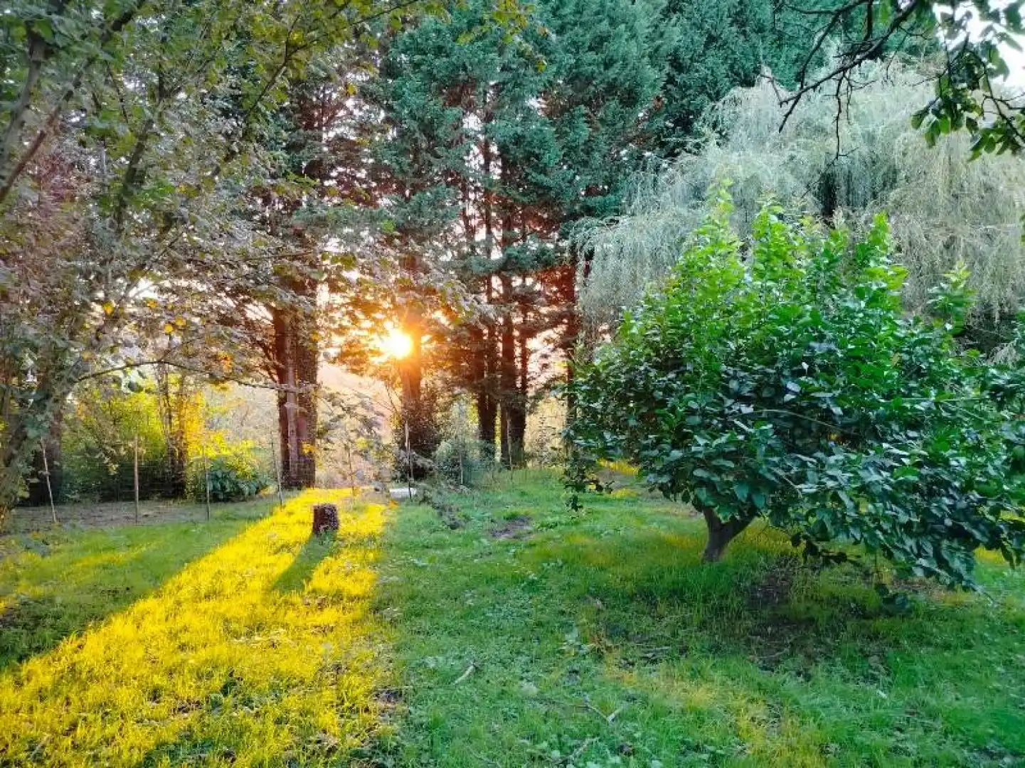 Jardí de Casa o xalet en venda en Torrelavega  amb Calefacció, Jardí privat i Traster