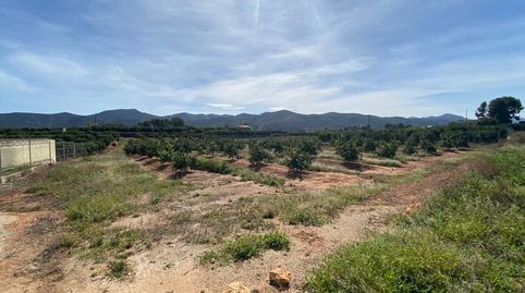 Finca Agrícola en Pla Nou de Canals, immagine 5