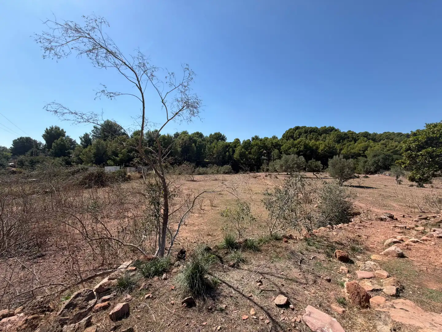 Terrain rustique à vendre à Carrer Horta Nova, imagen 3