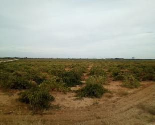 Finca rústica en venda en Socuéllamos