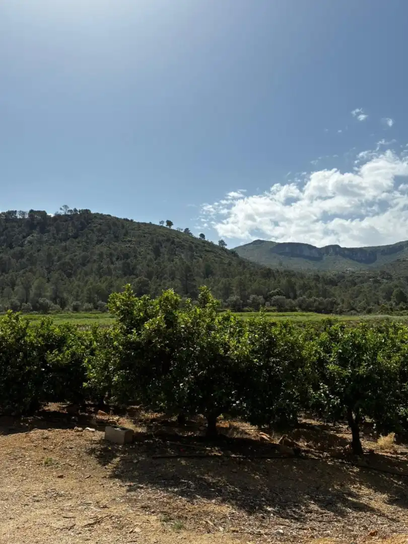 Garden of Country homes for sale in Castellonet de la Conquesta  with Air Conditioner, Heating and Private garden
