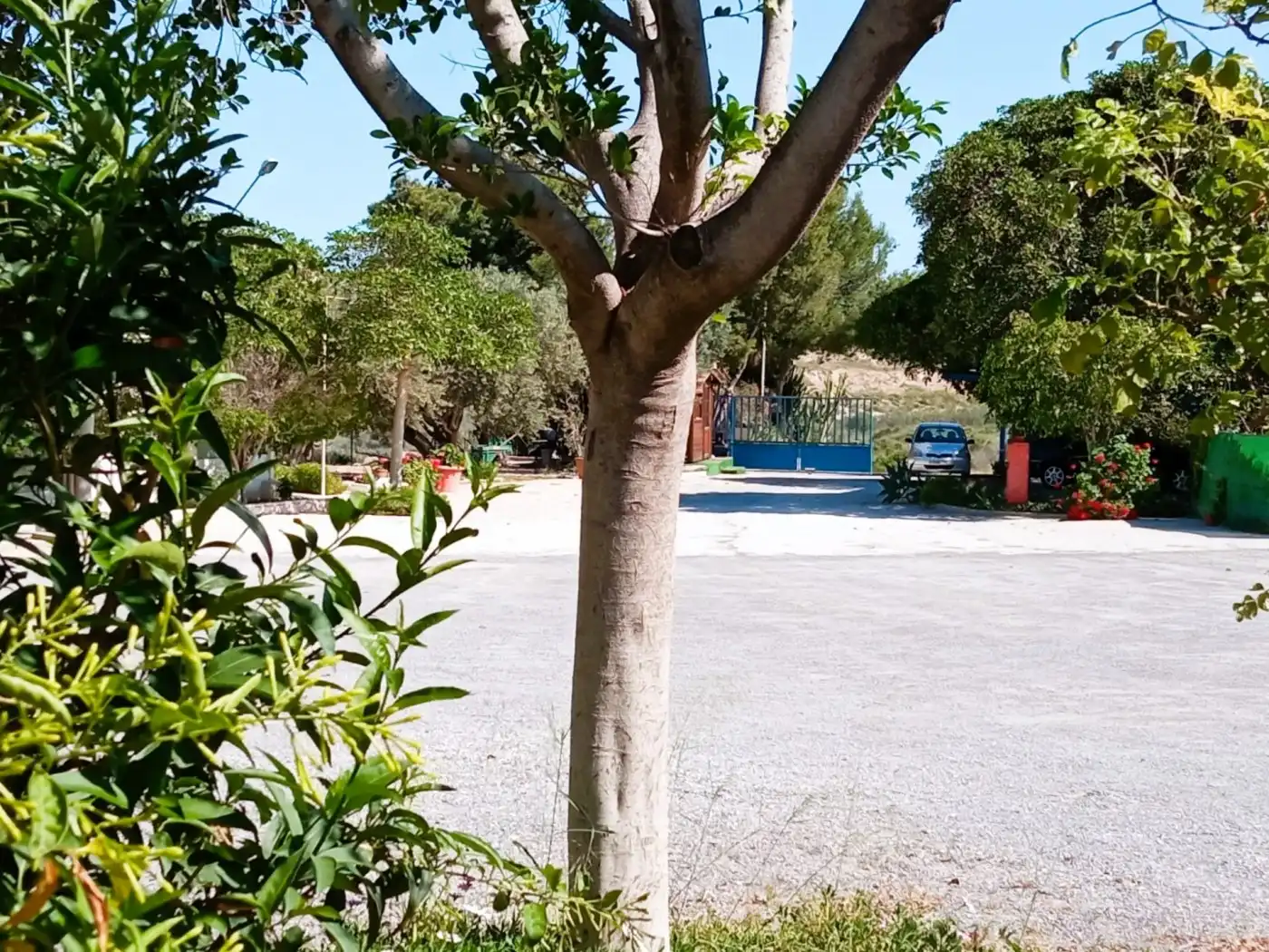 Chalet en venta en Carretera muchamiel-busot cv 773 km, imagen 34