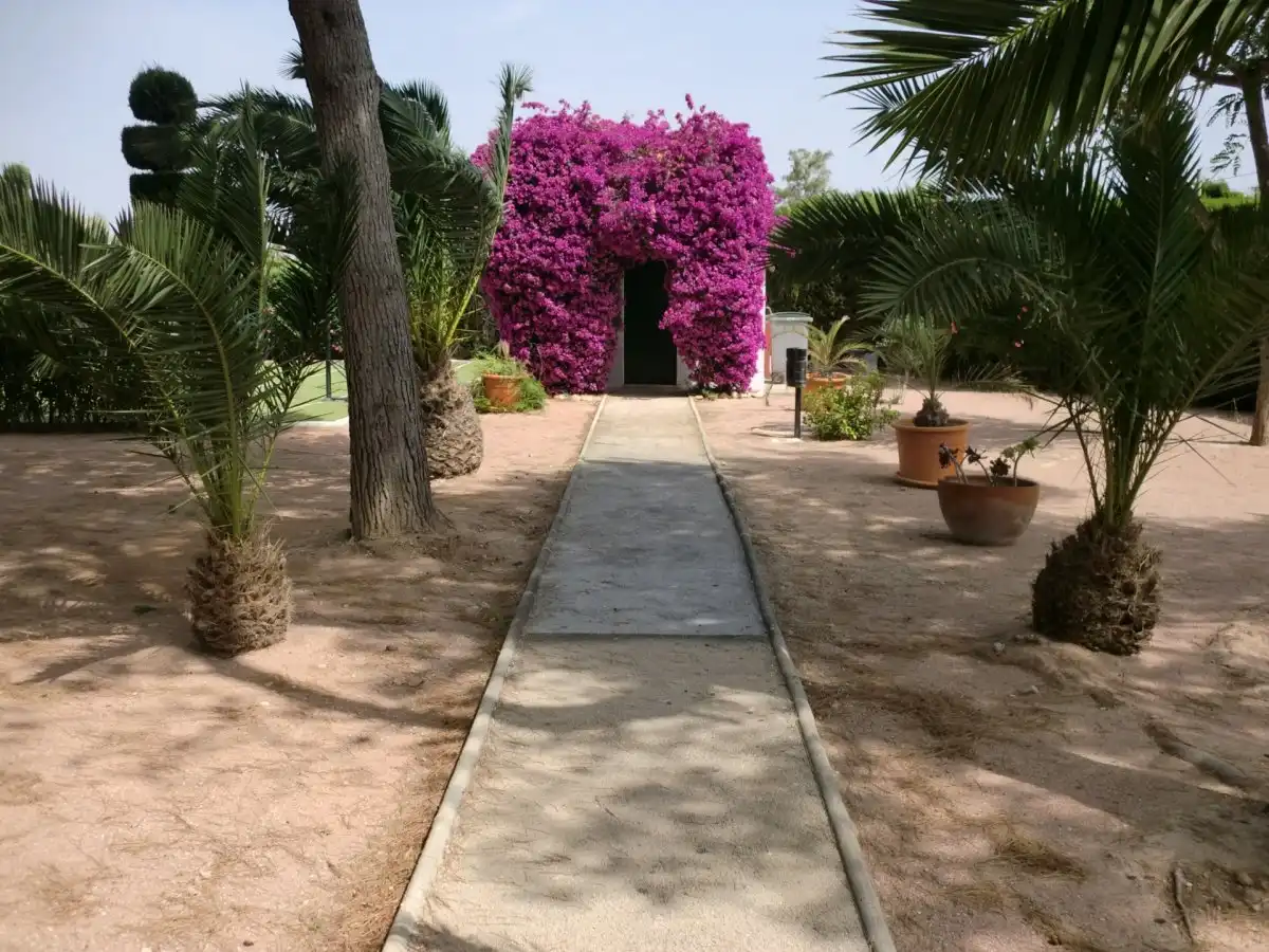 Villa avec piscine à vendre à Valverde, imagen 19