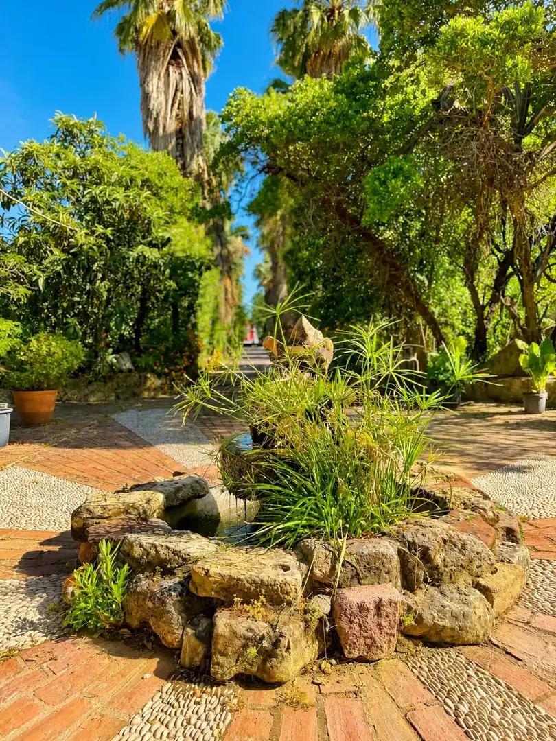 Casa rustica con piscina in vendita a Carretera a Palma del Río, imagen 29