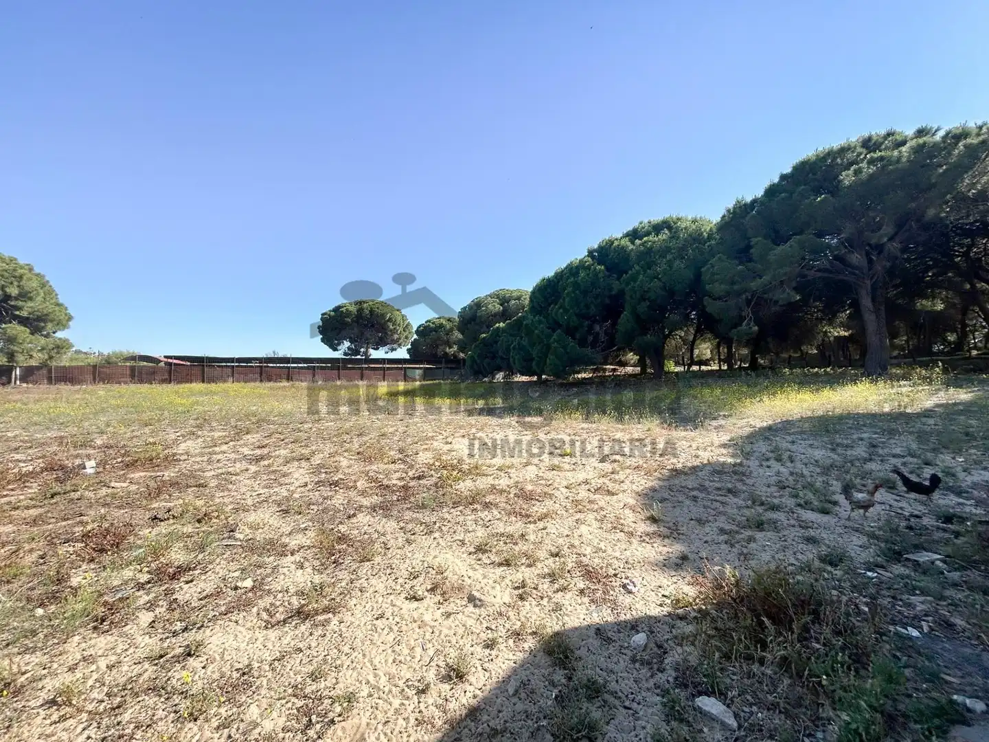 Grundstücke zum Verkauf in Sanlúcar de Barrameda