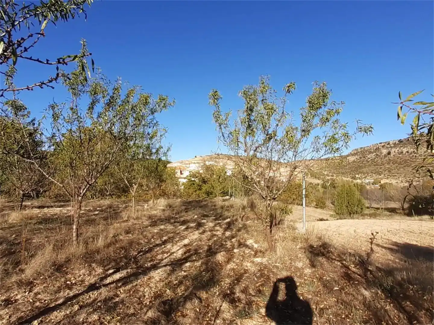Terreno en venta en Algar de Mesa, Guadalajara