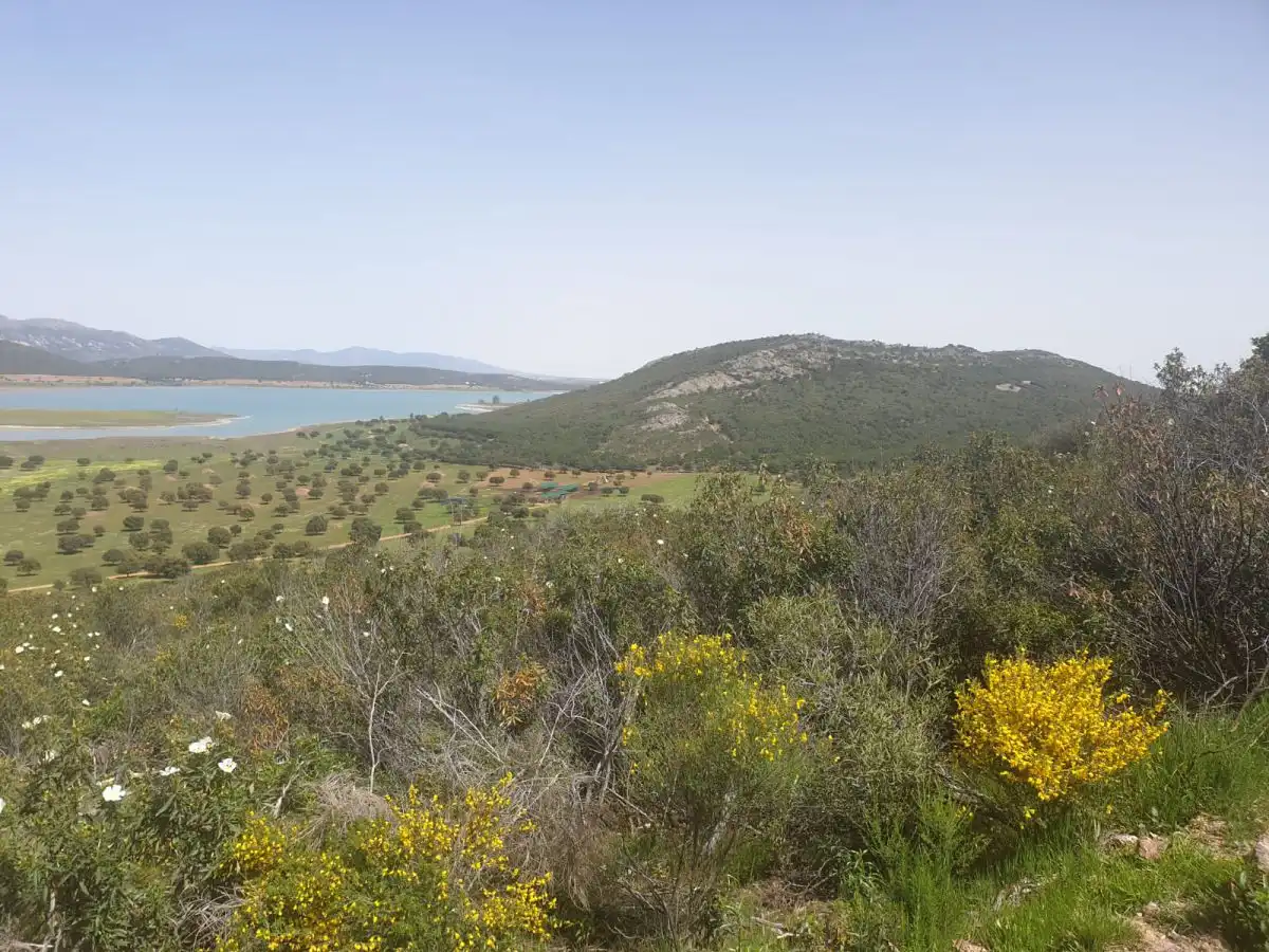 Finca rústica en venda a Área Rural-Valverde-Las Casas